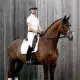 LeMieux Suede Dressage Square